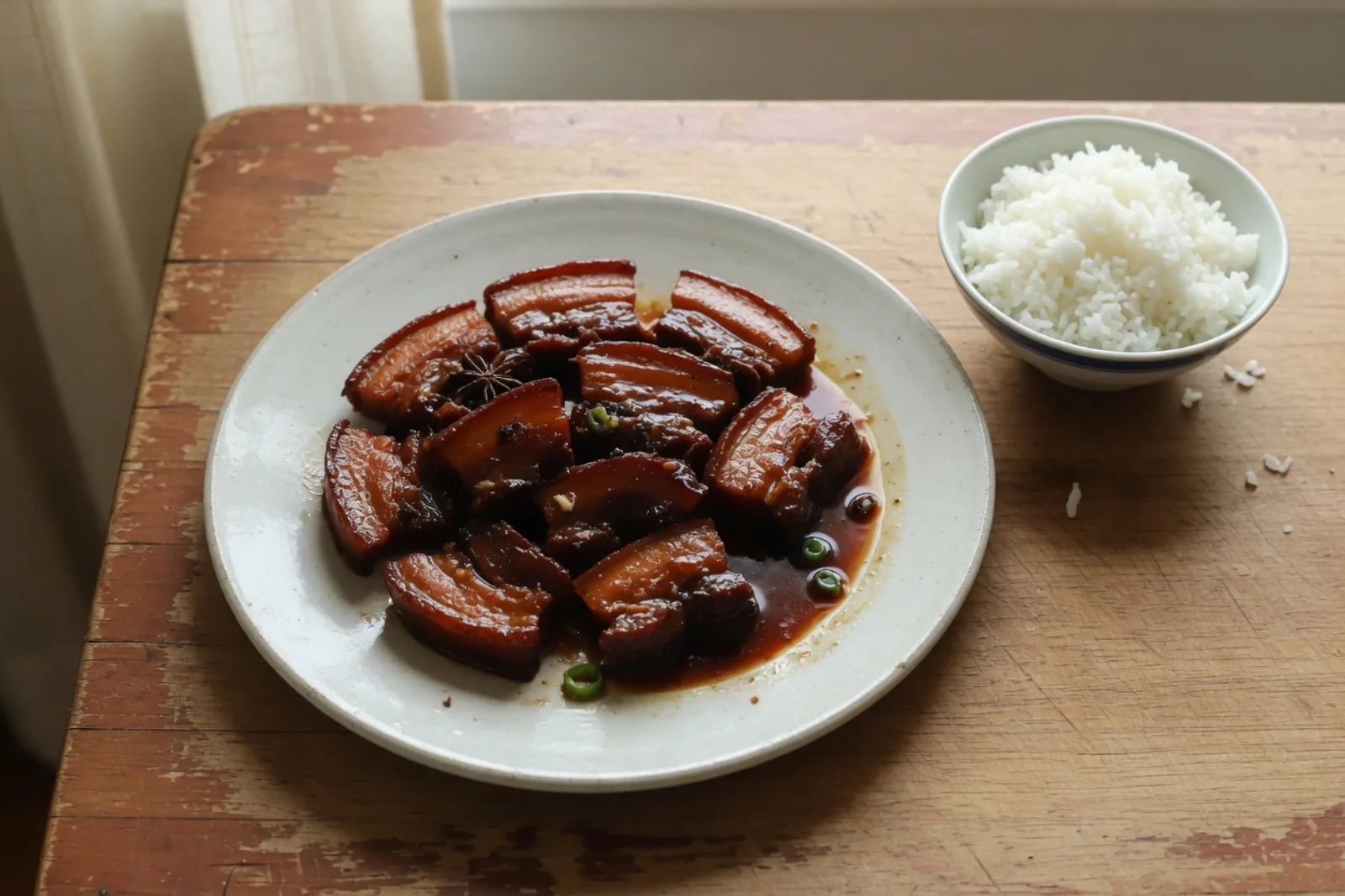 家常红烧肉，肉软，颜色红亮，旁边是一碗白饭。